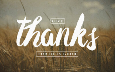 Gratitude and contentment